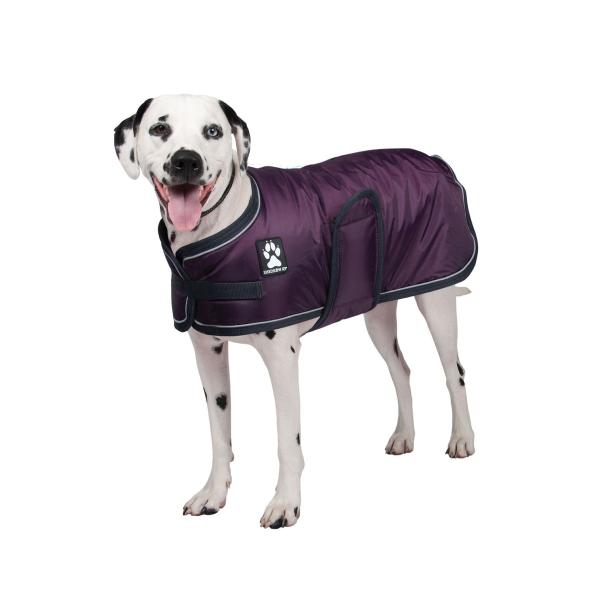 Manteau pour chien Shedrow K9 Tundra