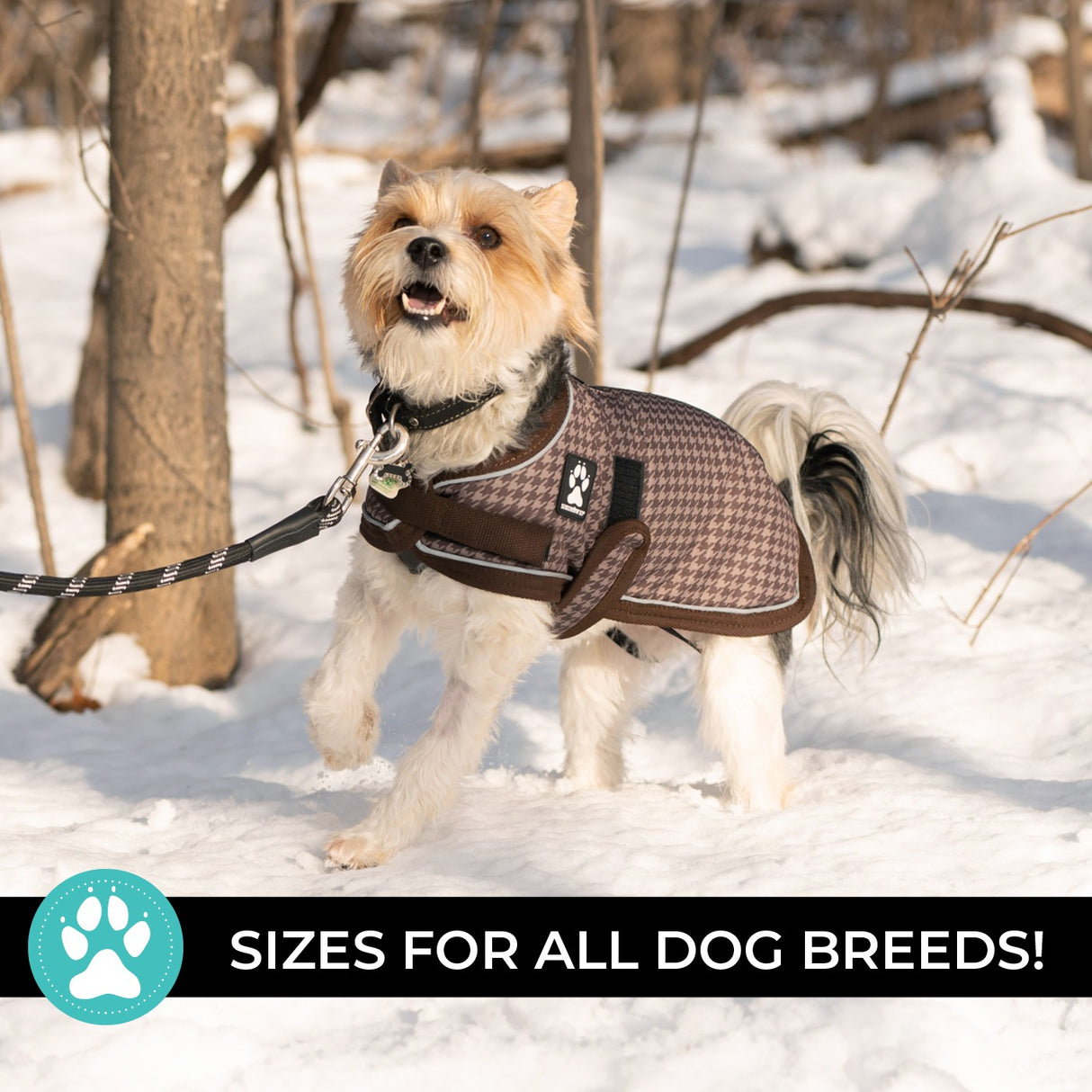 Shedrow K9 Expedition Dog Coat