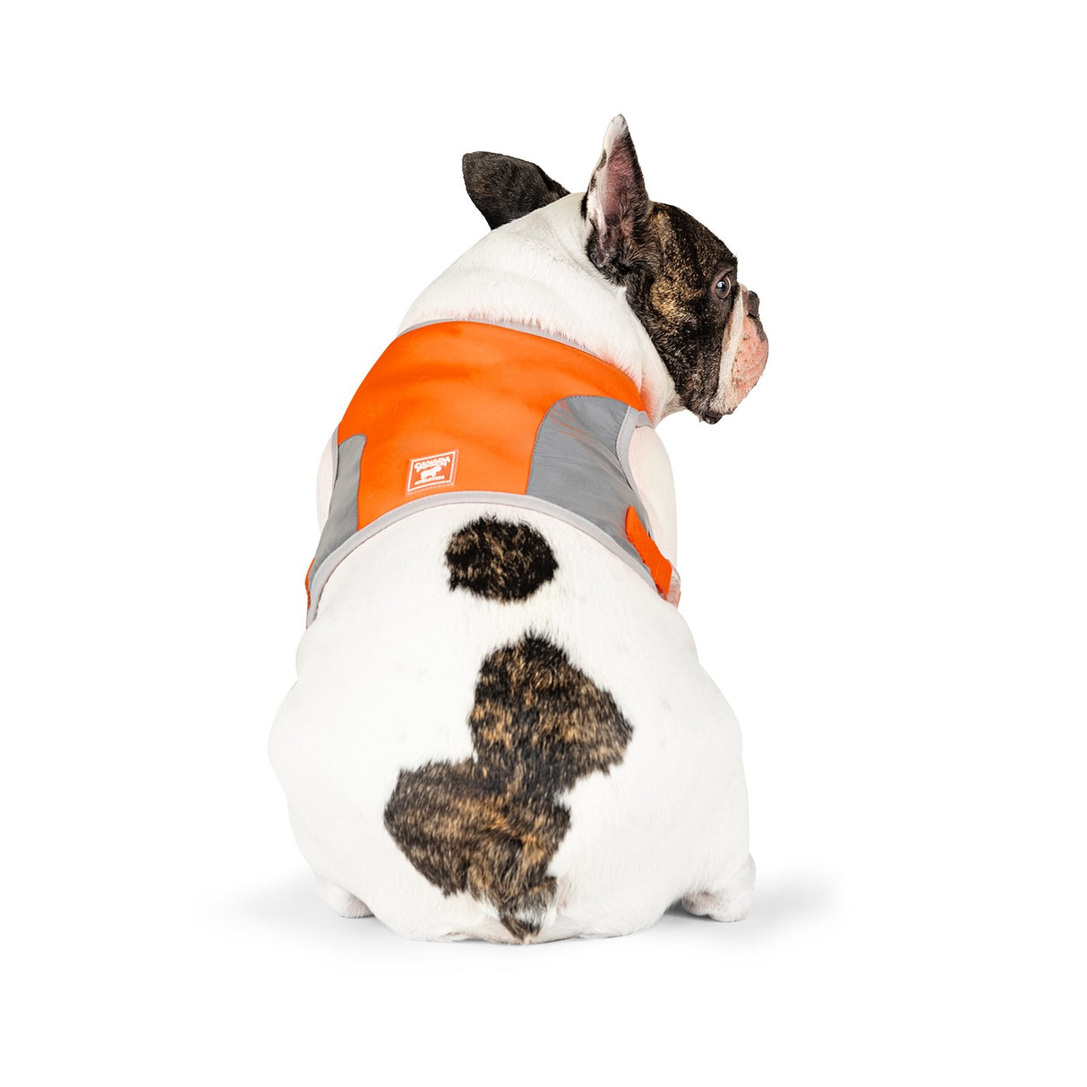 Canada Pooch Gilet de sécurité haute visibilité