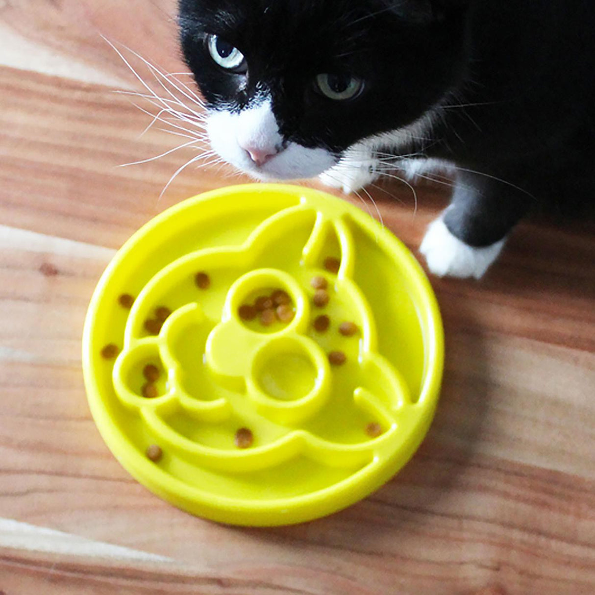Gamelle pour chat à alimentation lente Be One Breed