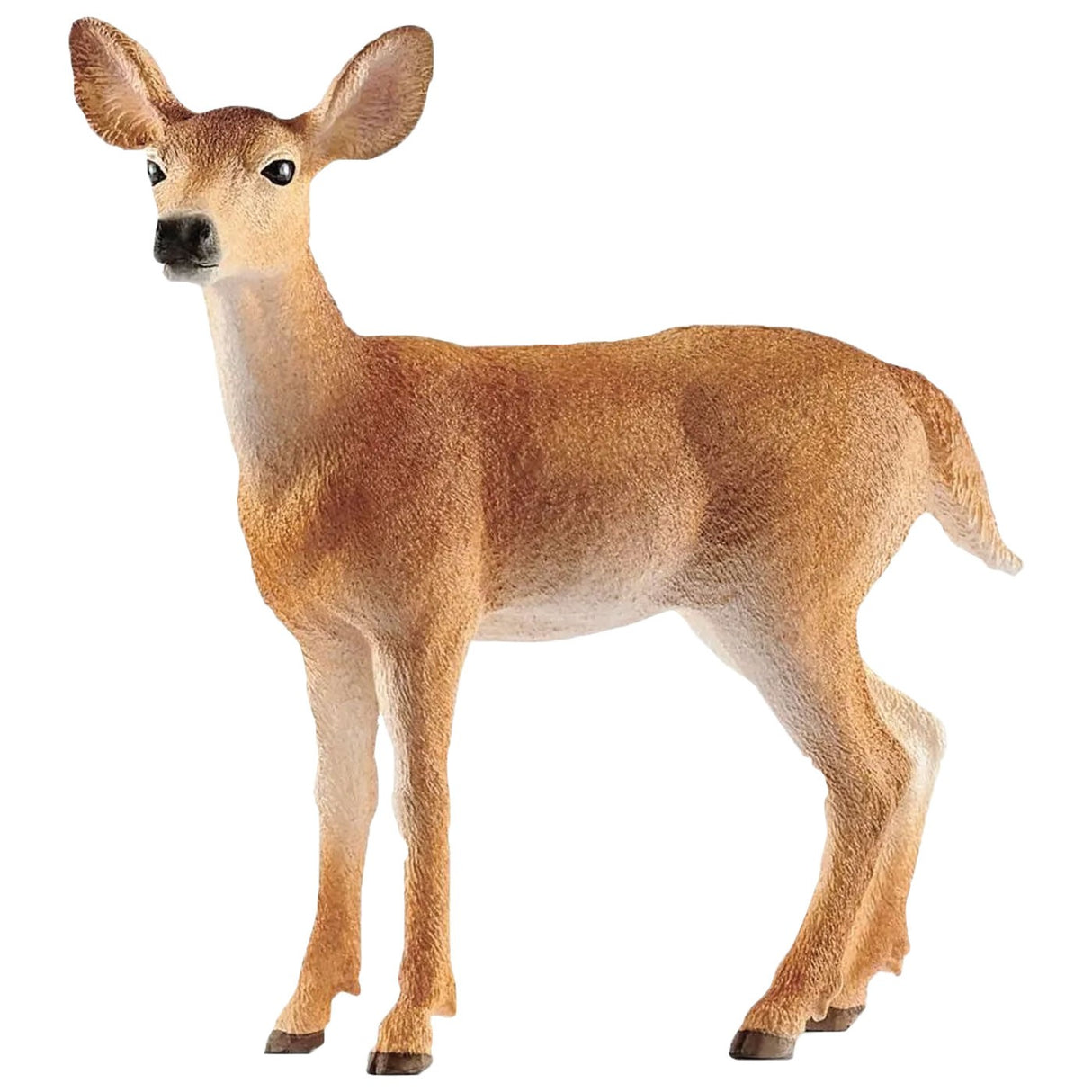 Schleich Wild Life Biche à queue blanche