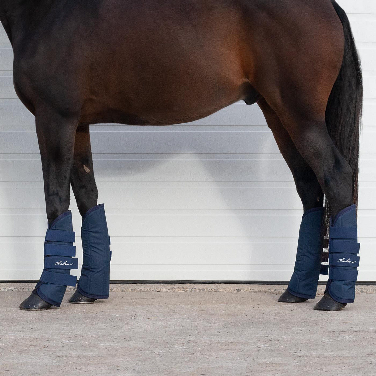 Bottes d'expédition Shedrow