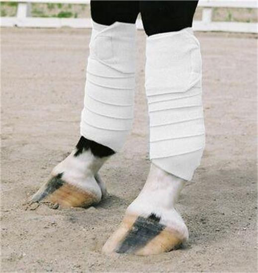 Pansements de polo poney de Vac