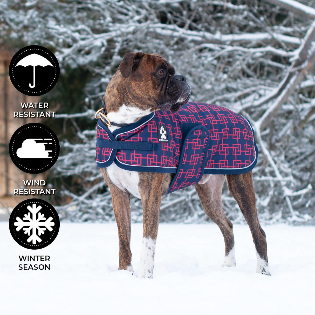 Manteau pour chien Shedrow K9 Glacier