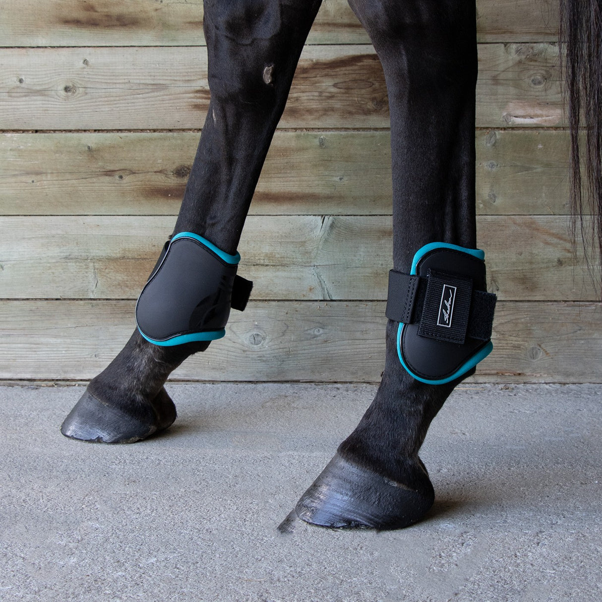 Shedrow Fetlock Boots