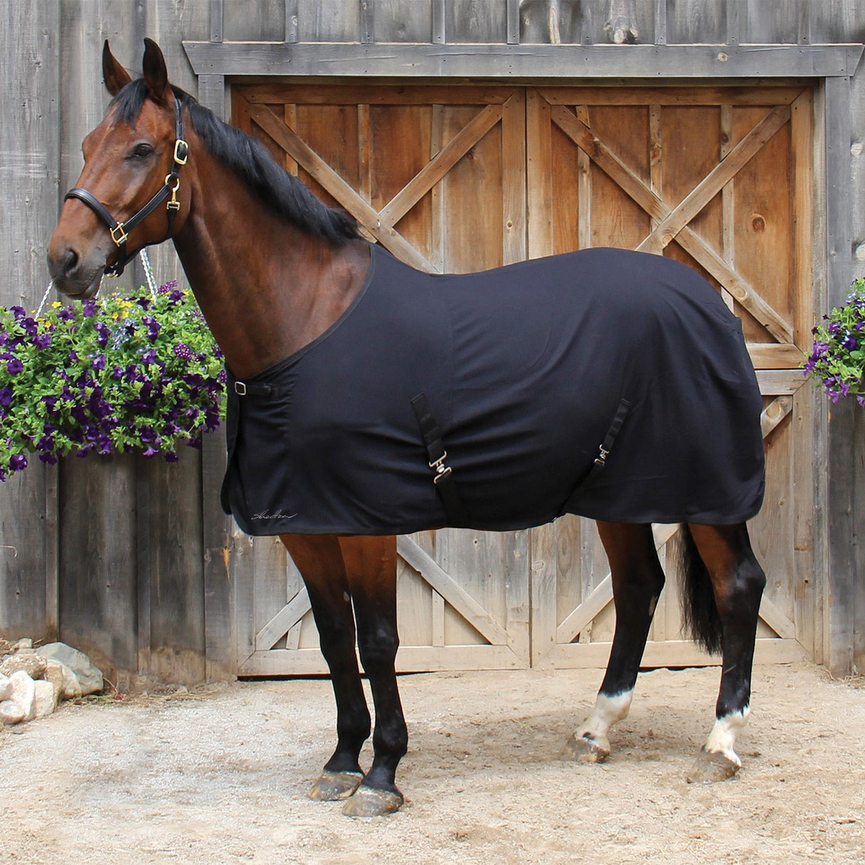 Refroidisseur super sec Shedrow