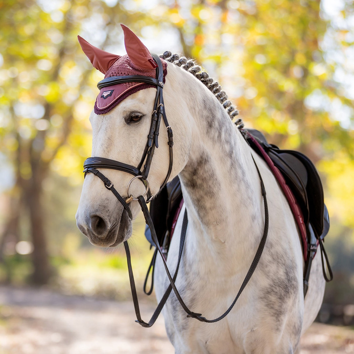 LeMieux Loire Fly Hood