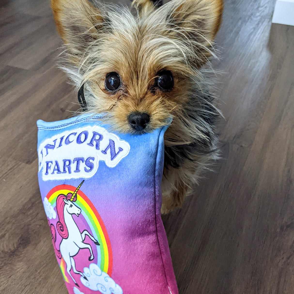 Lulubelles Power Peluche Licorne Pets