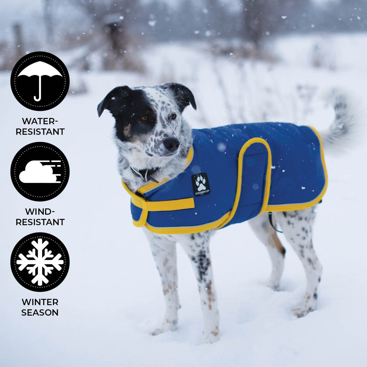 Manteau pour chien Shedrow K9 Tundra