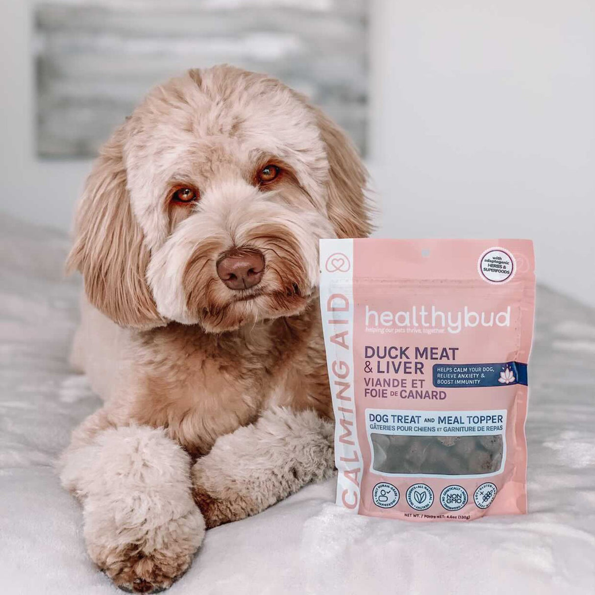 Supplément pour chien Healthybud Calming Aid 4,6 oz