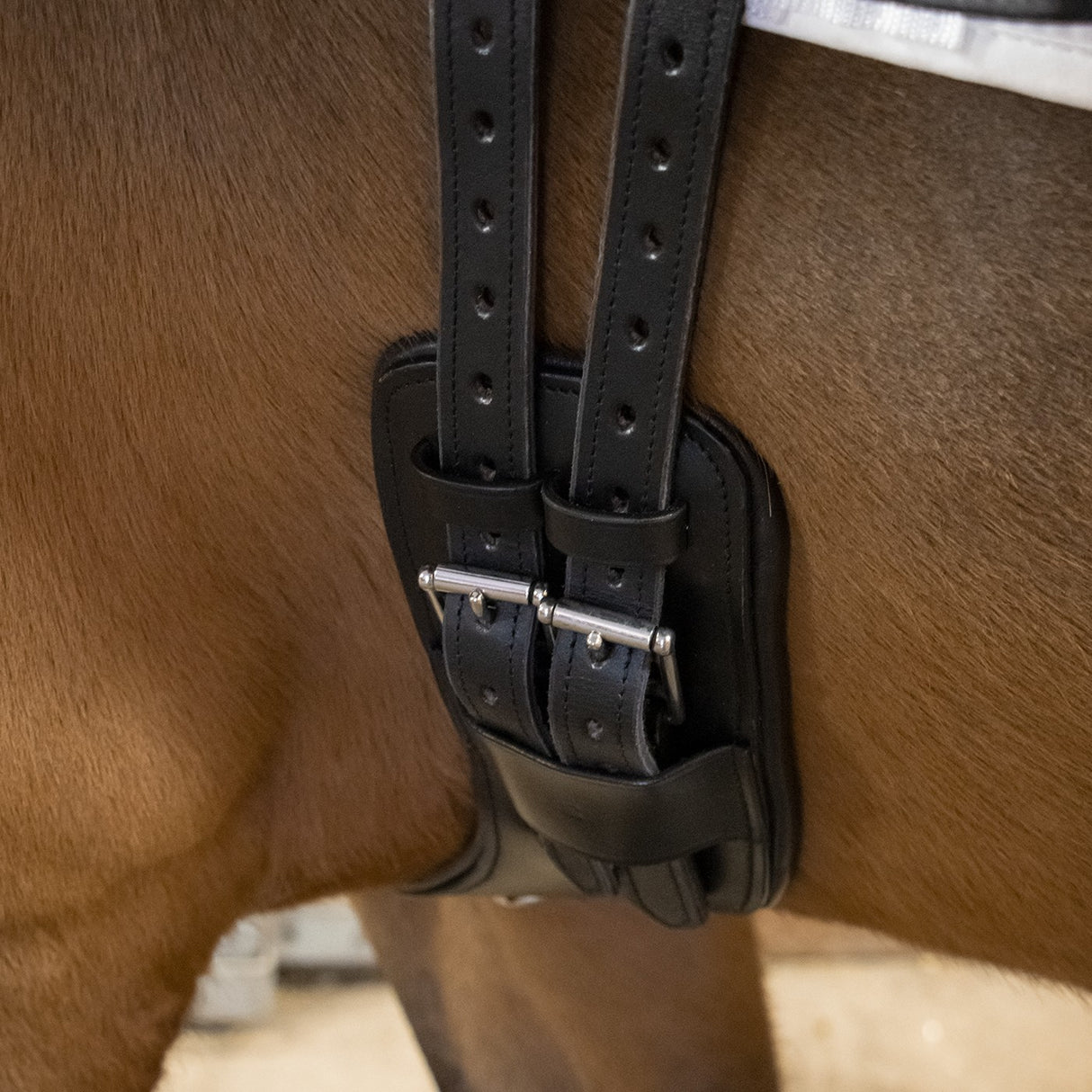 Sangle de Dressage Anatomique Val du Bois