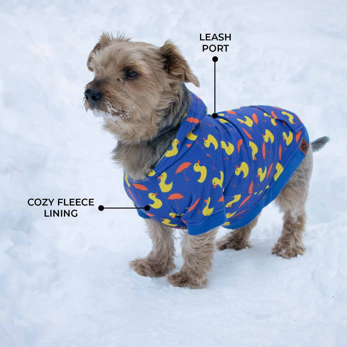 Sweat à capuche pour chien Shedrow K9 Canmore