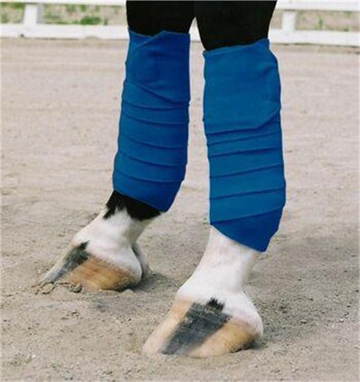 Pansements de polo poney de Vac