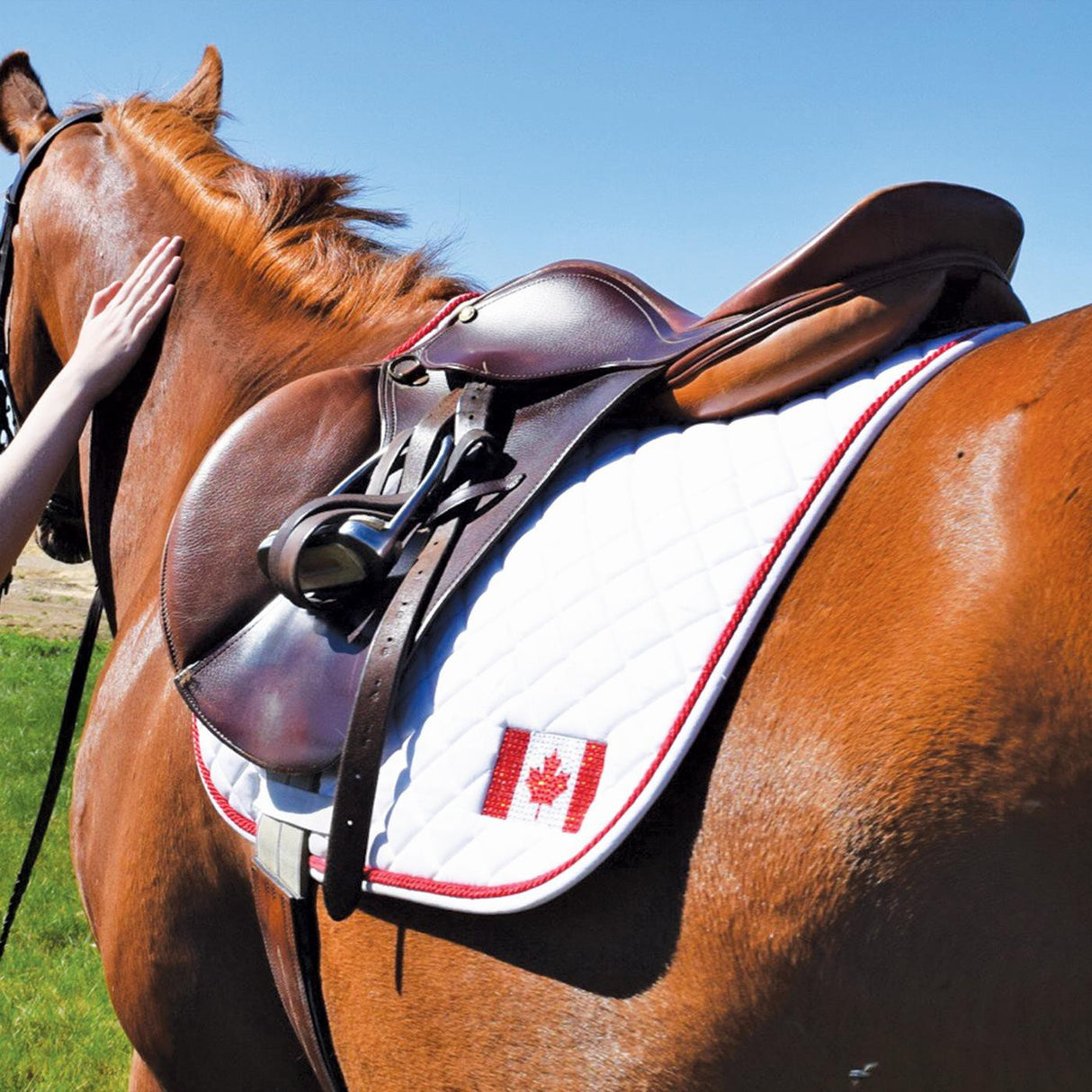 Shedrow Canadian Flag Saddle Pad