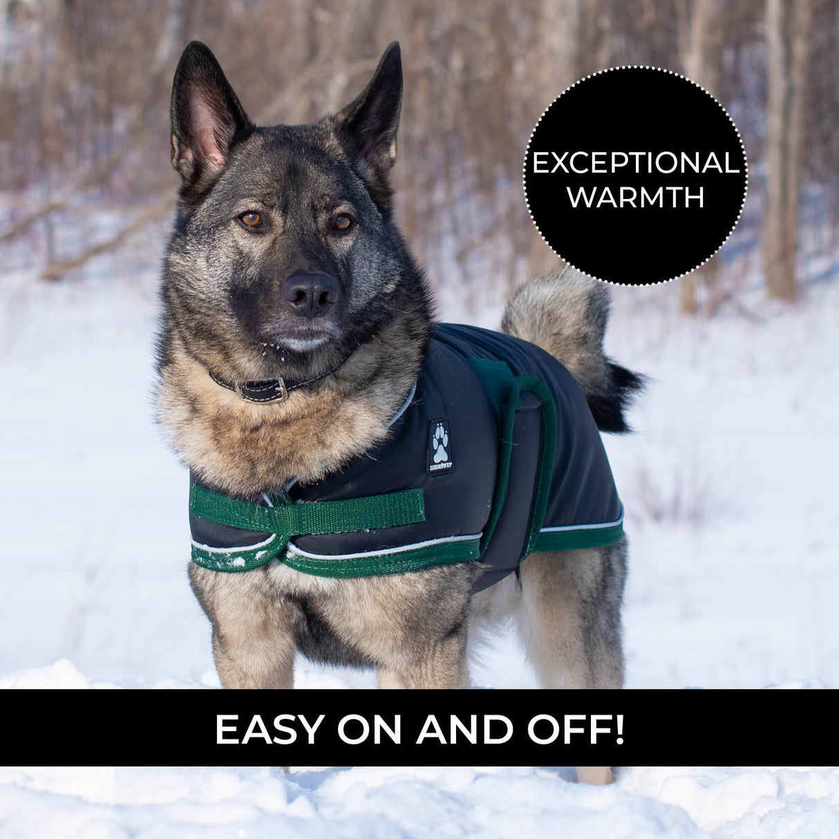 Shedrow K9 Vail Dog Coat