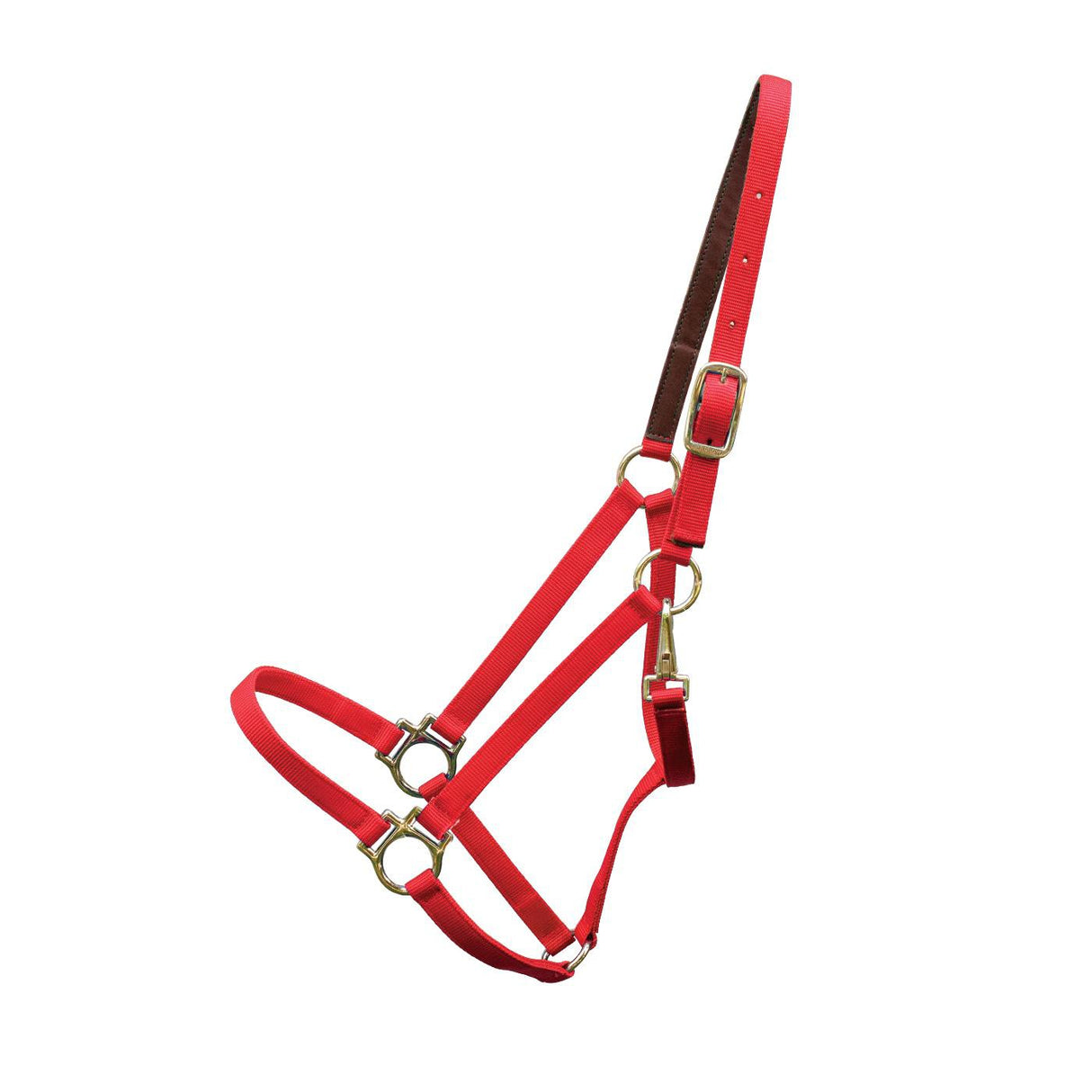 Shedrow Deluxe 3-4 po. Licou