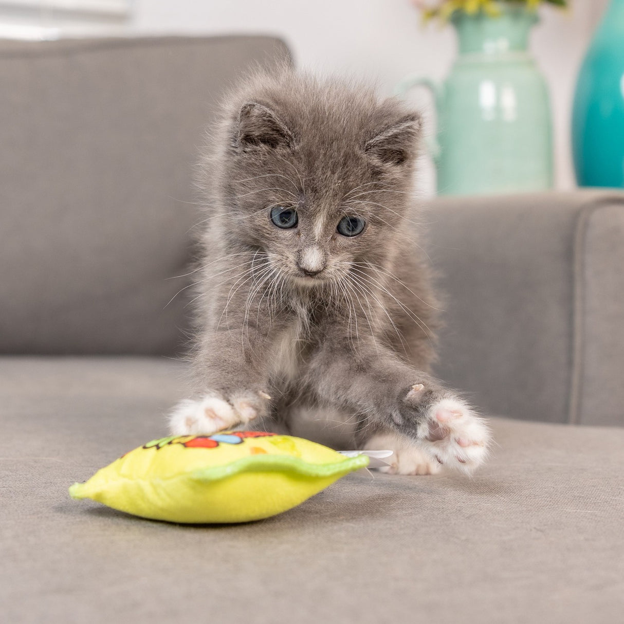Jouet pour chat Kittybelles Sour Scratch