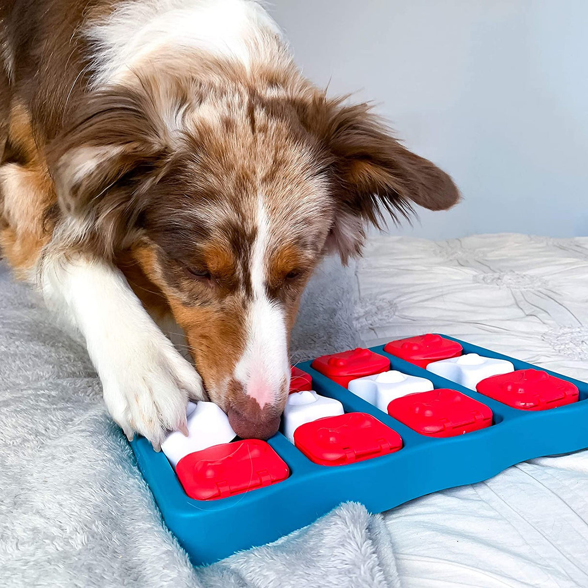 Puzzle de chien en brique de chien Nina Ottosson