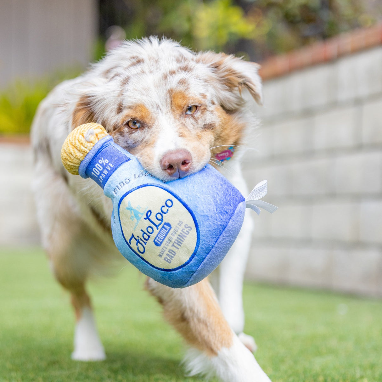 Lulubelles Power Plush Fido Fido Loco Tequila Dog Toy
