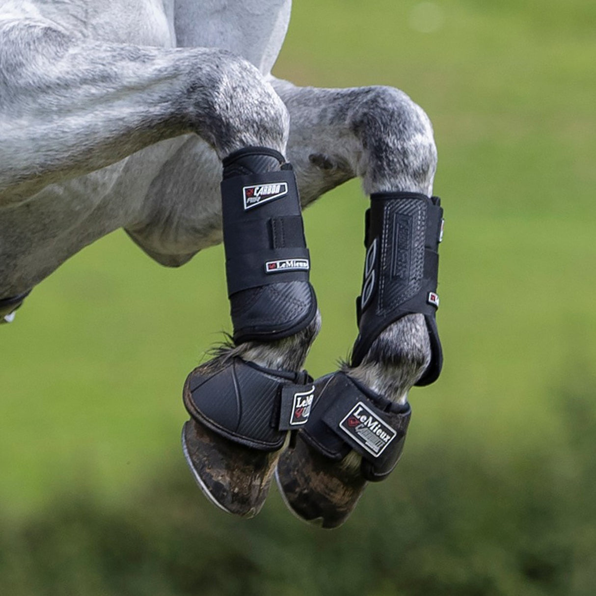 Bottes avant LeMieux Carbon Air XC