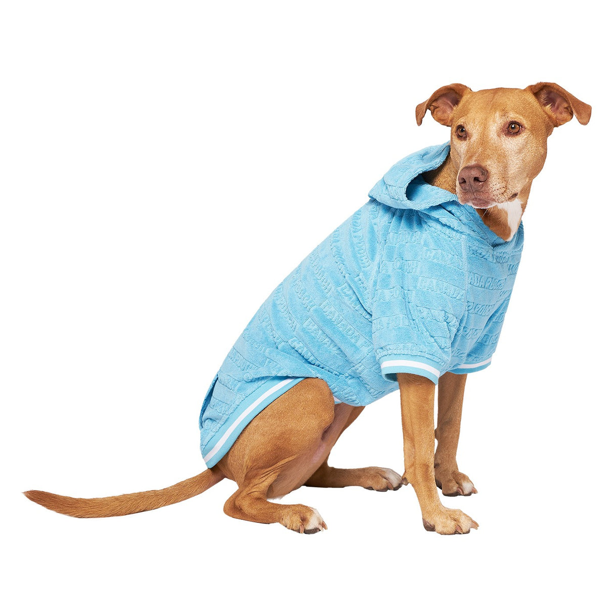 Canada Pooch Beach Bum Serviette à capuche