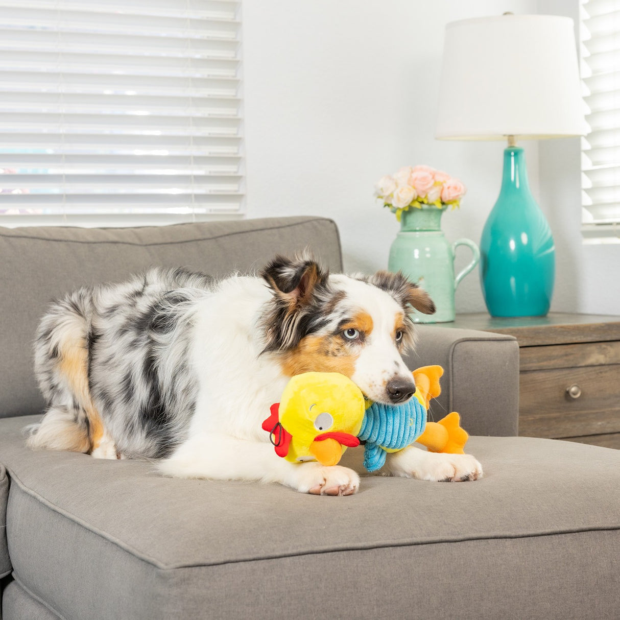 Jouet pour chien Kernal Pecker en peluche Lulubelles Power