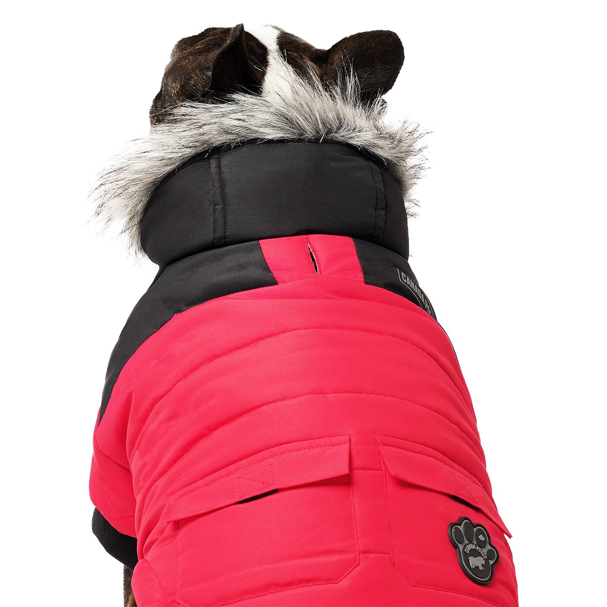 Parka pour chien True North de Canada Pooch