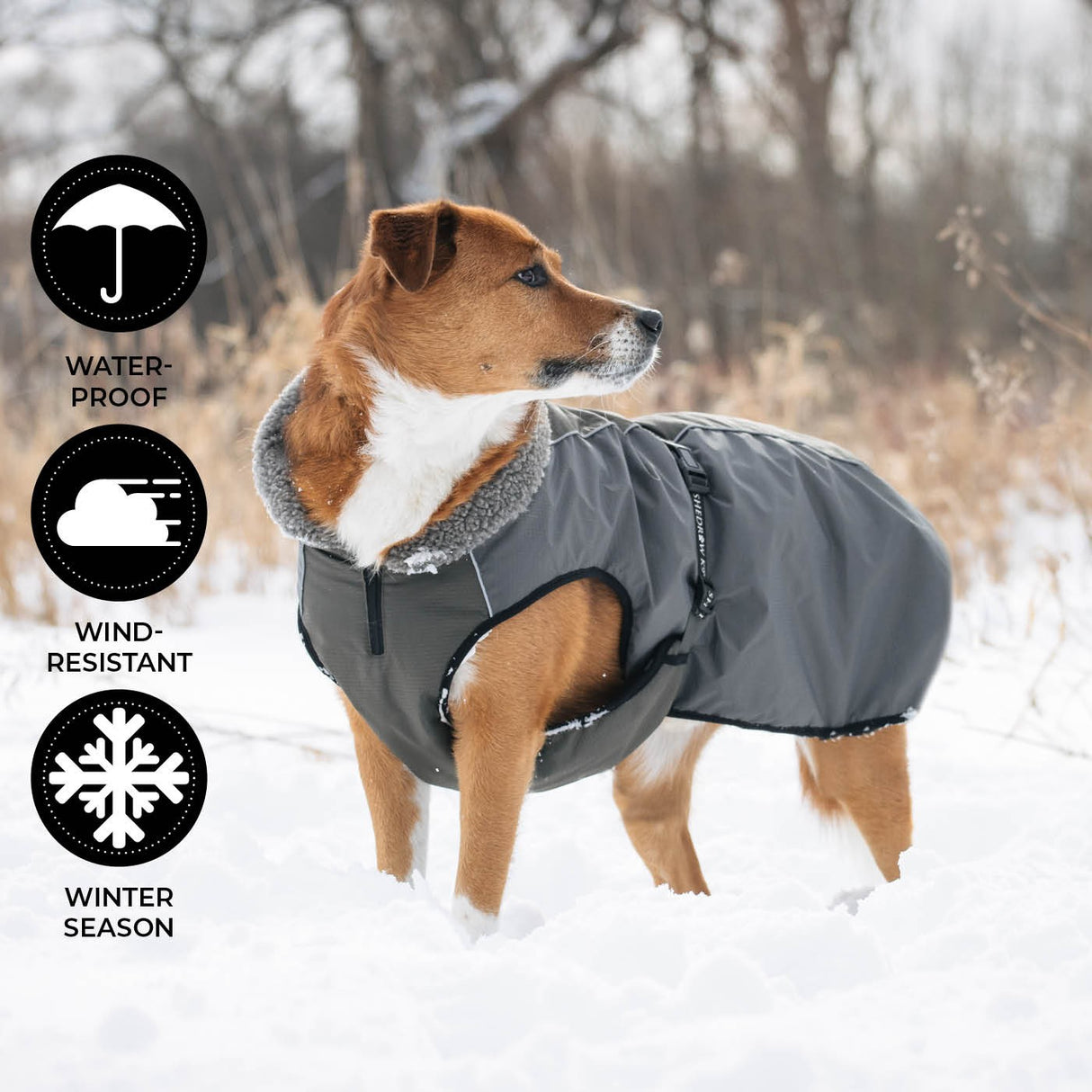 Manteau pour chien Shedrow K9 Chinook