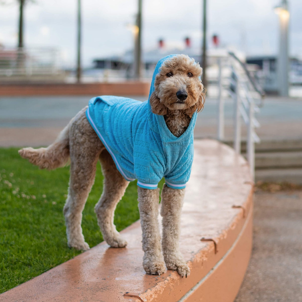 Canada Pooch Beach Bum Serviette à capuche