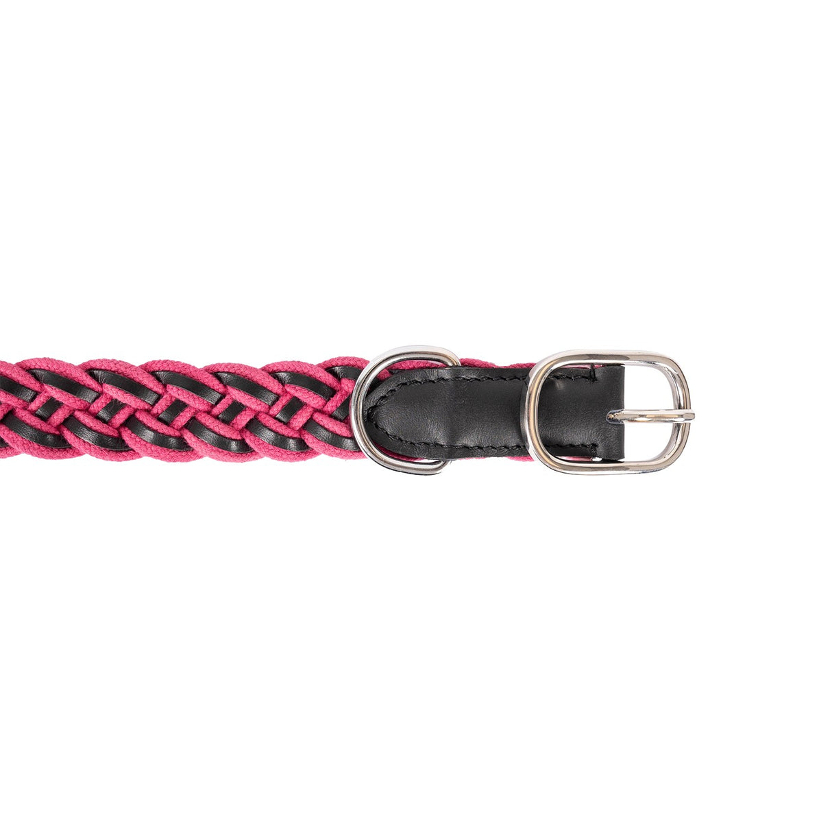 Shedrow K9 Rideau Corde tressée et collier en cuir