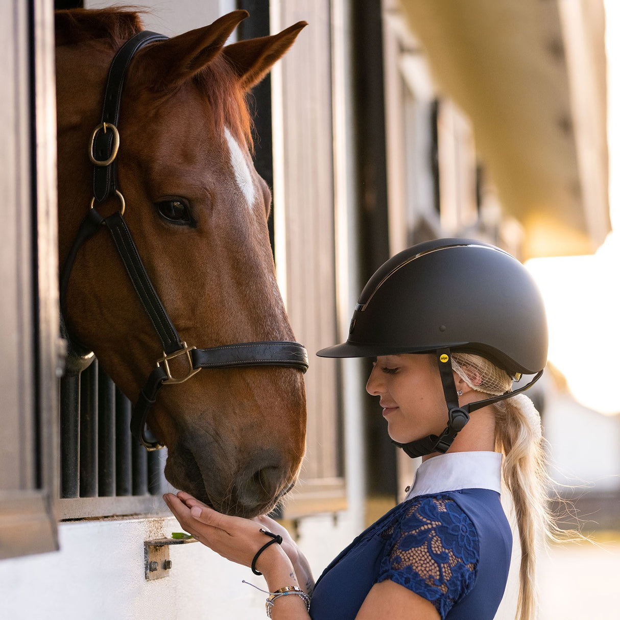Tipperary Windsor Wide Brim MIPS Helmet - Smoked Chrome Trim