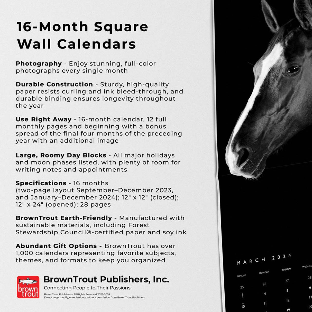 BrownTrout The Noble Horse Portrait Series 2024 Square Calendar