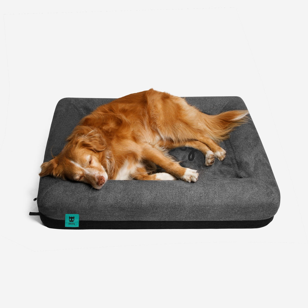 Zee Dog Zee Bed