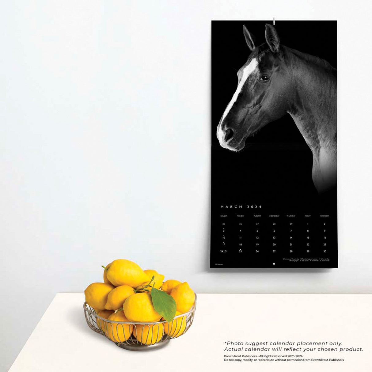 BrownTrout The Noble Horse Portrait Series 2024 Square Calendar