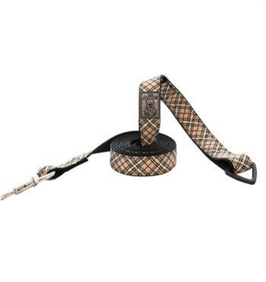 RC Pet Dog Leash 6 Ft.