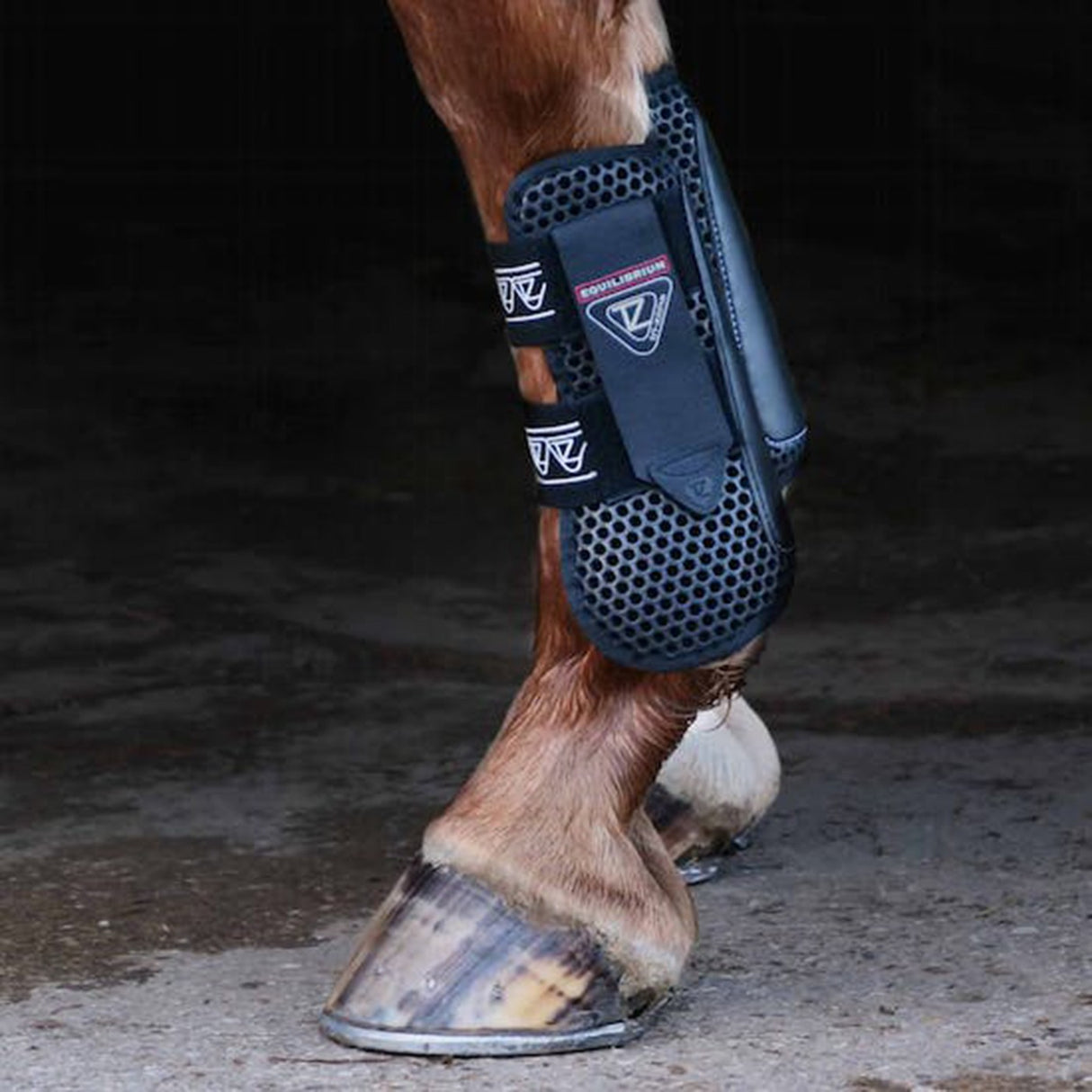 Equilibrium Tri-Zone Open Front Tendon Boots