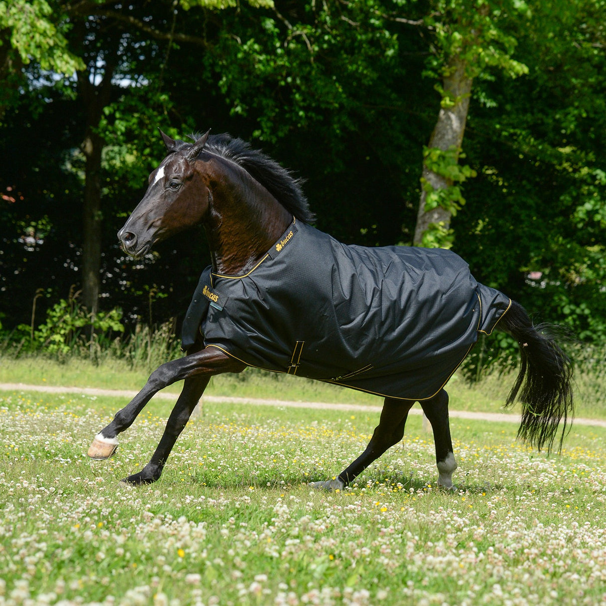 Bucas Irish Turnout Light 50 g