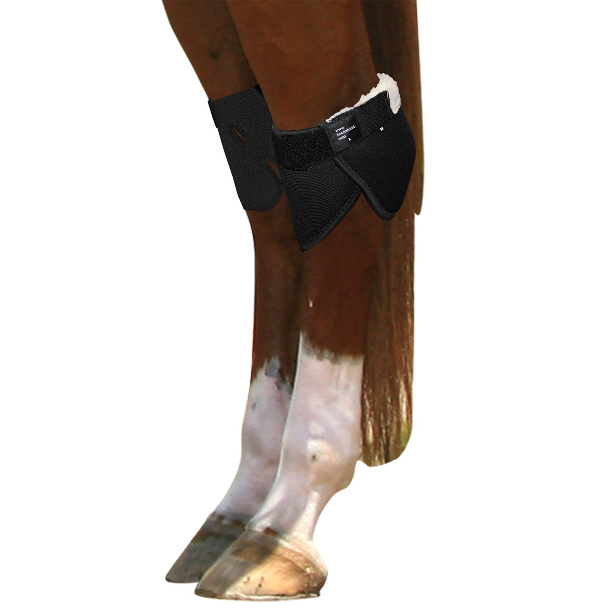 Hock Shield Ultra