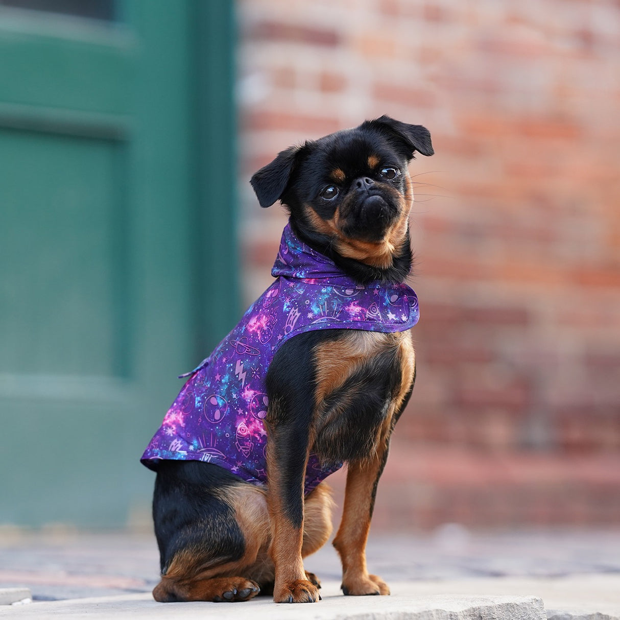 Canada Pooch Pick Me Poncho Lueur