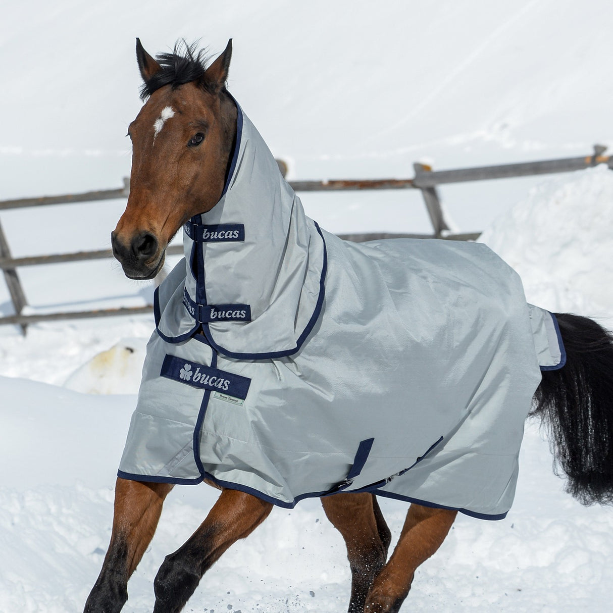 Bucas Power Turnout Combi Neck Extra