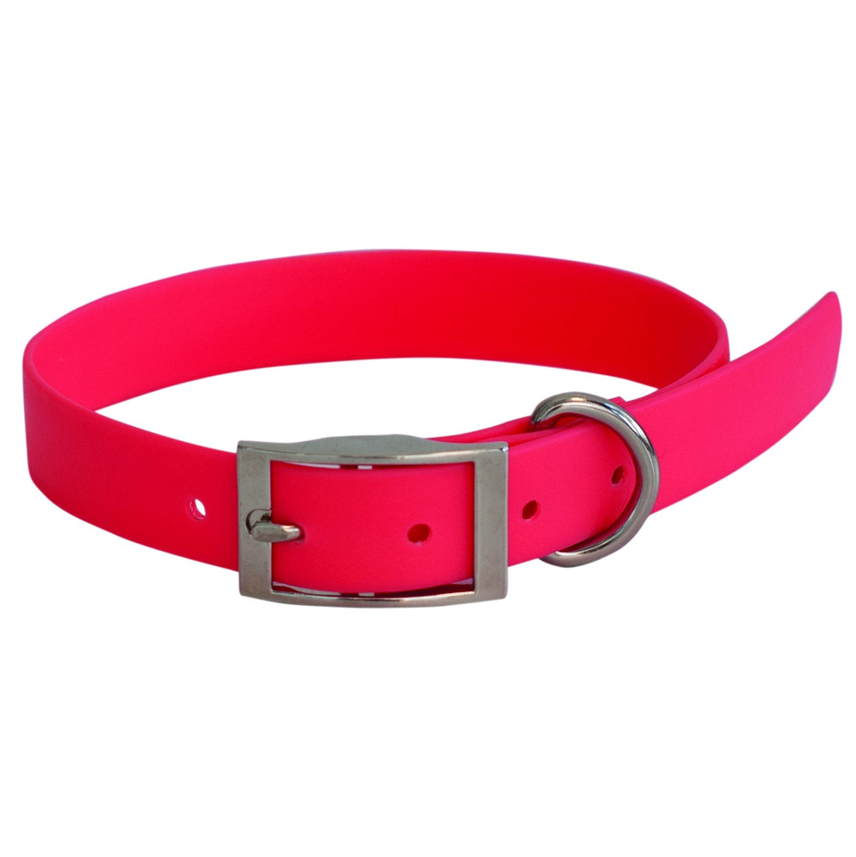 Collier imperméable Shedrow K9 Tofino II