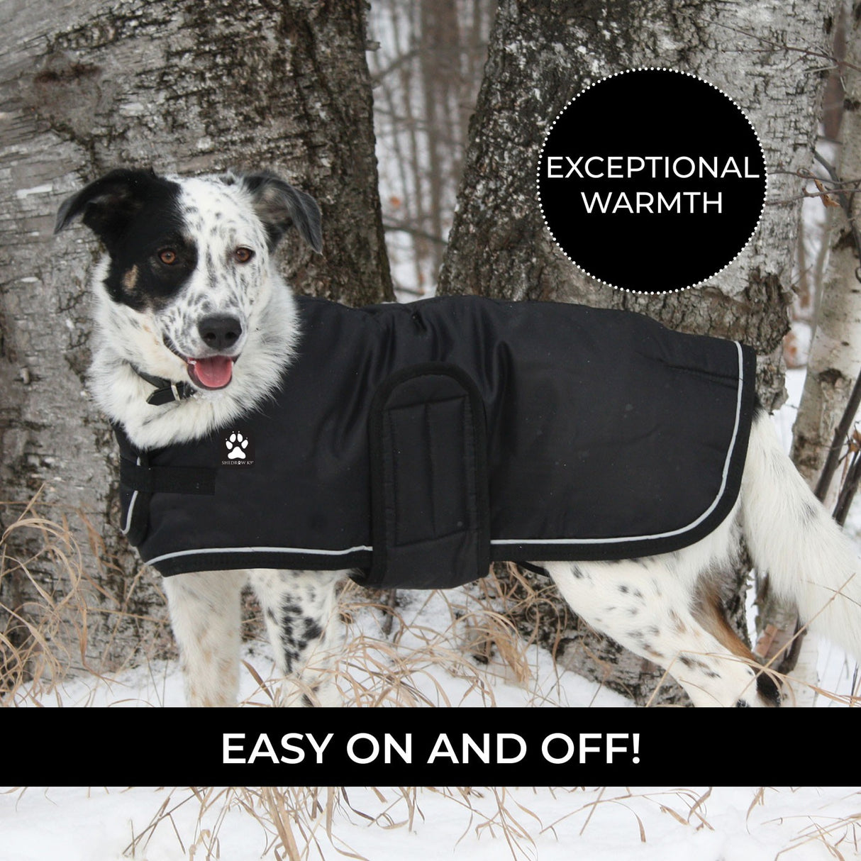 Manteau pour chien Shedrow K9 Tundra
