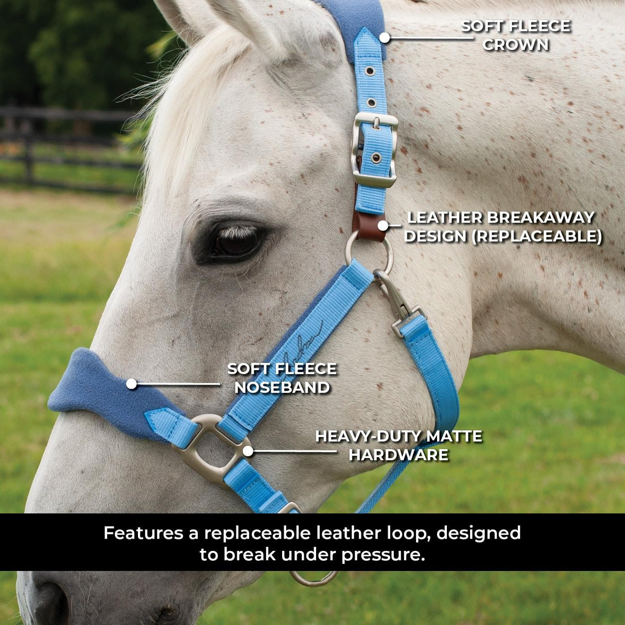 Shedrow Breakaway Halter W - Polaire