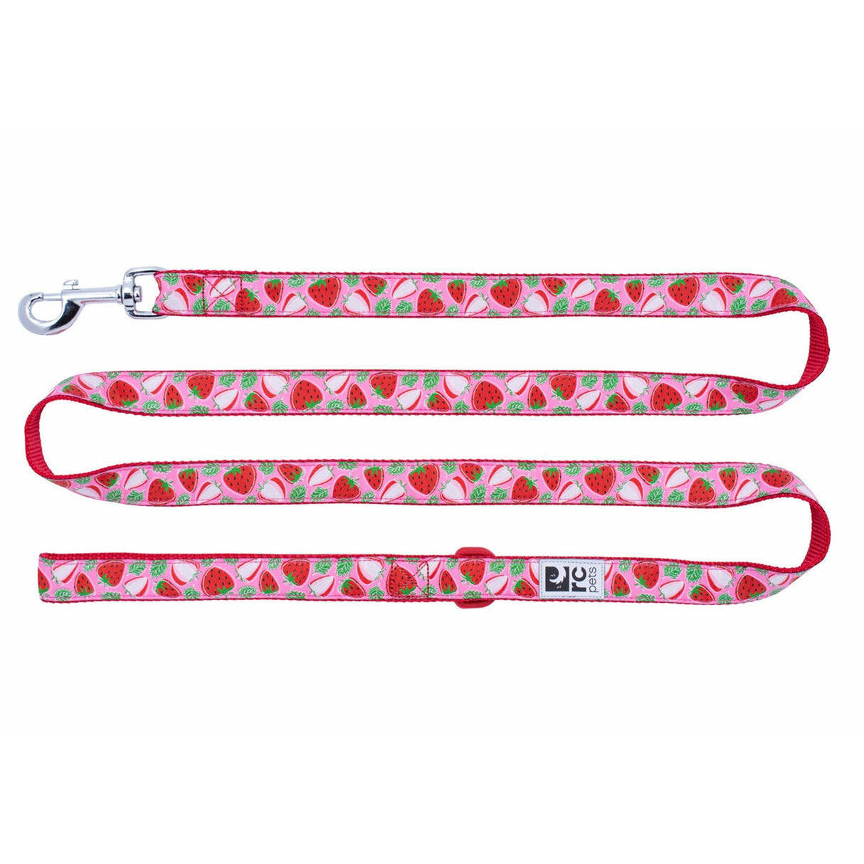 RC Pet Dog Leash 6 Ft.
