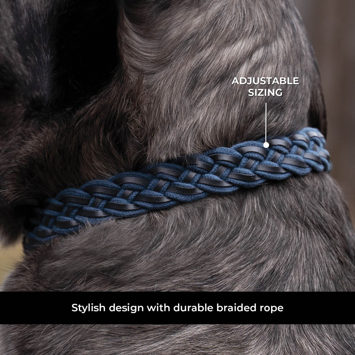 Shedrow K9 Rideau Corde tressée et collier en cuir
