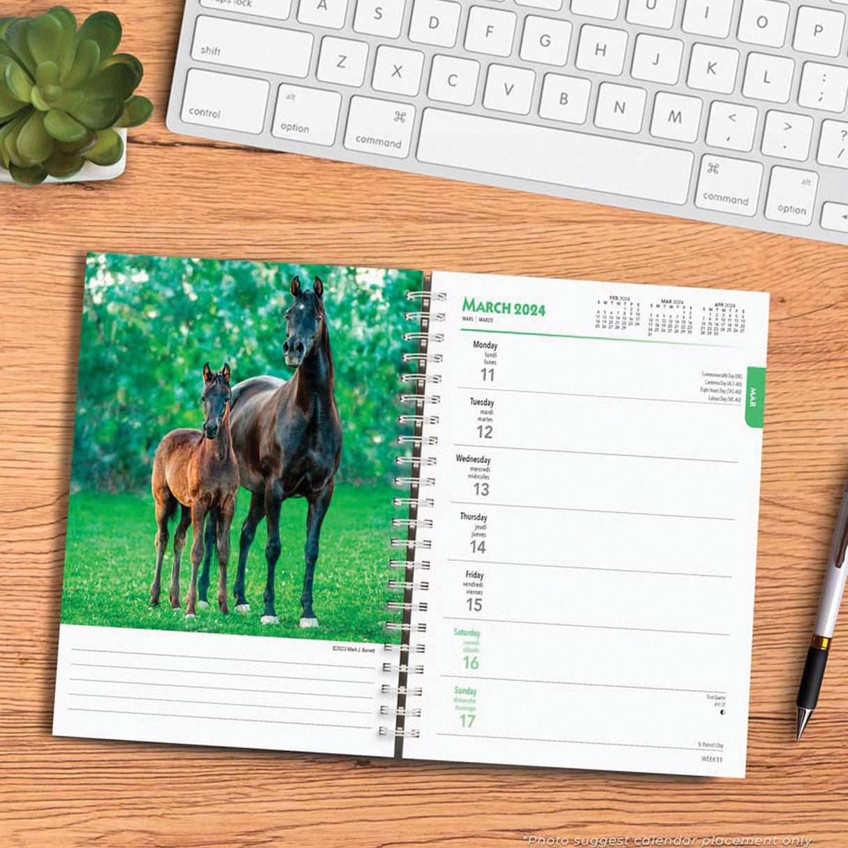BrownTrout Horse Lovers 2024 Weekly Engagement Calendar