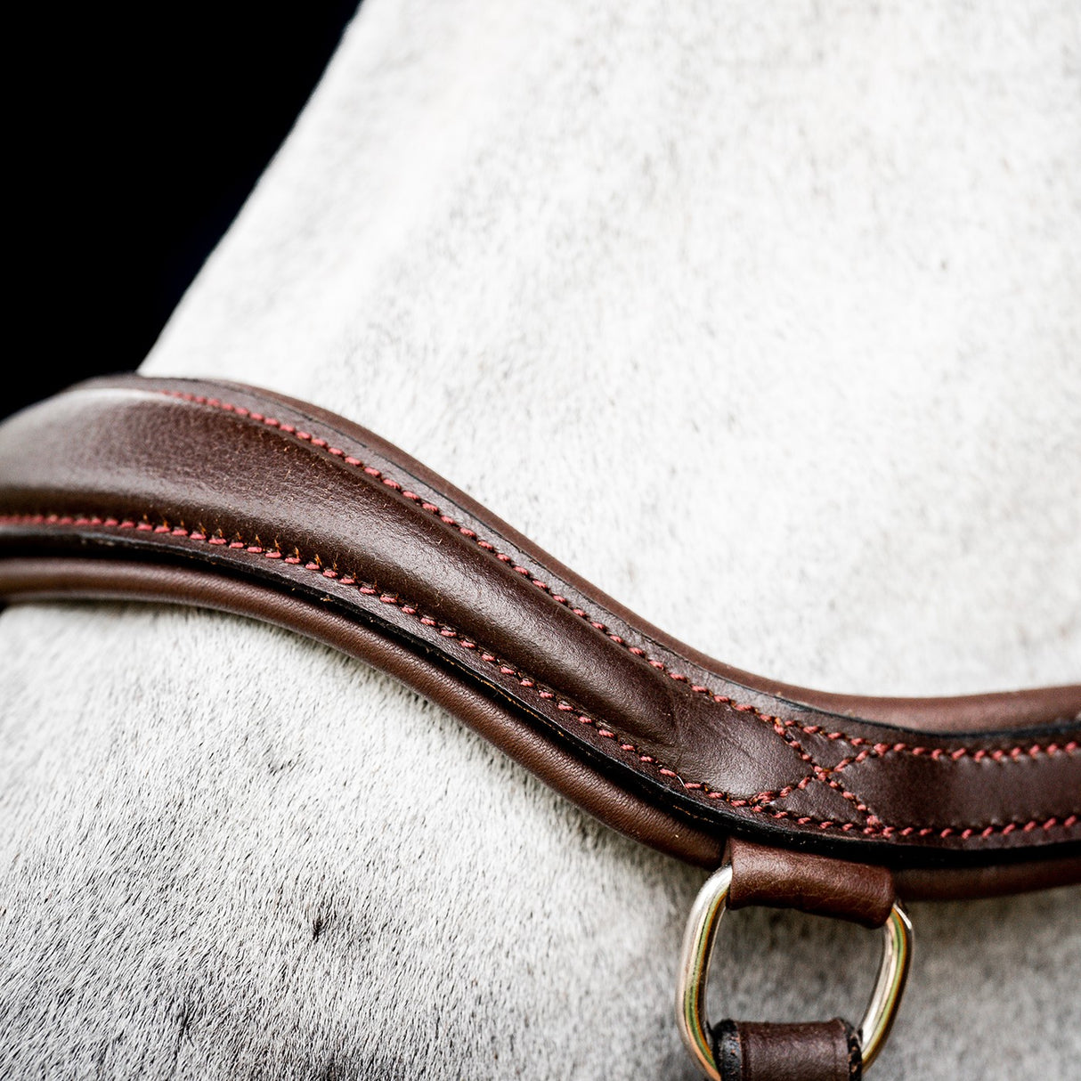Rambo Micklem Deluxe Competition Bridle W- Reins