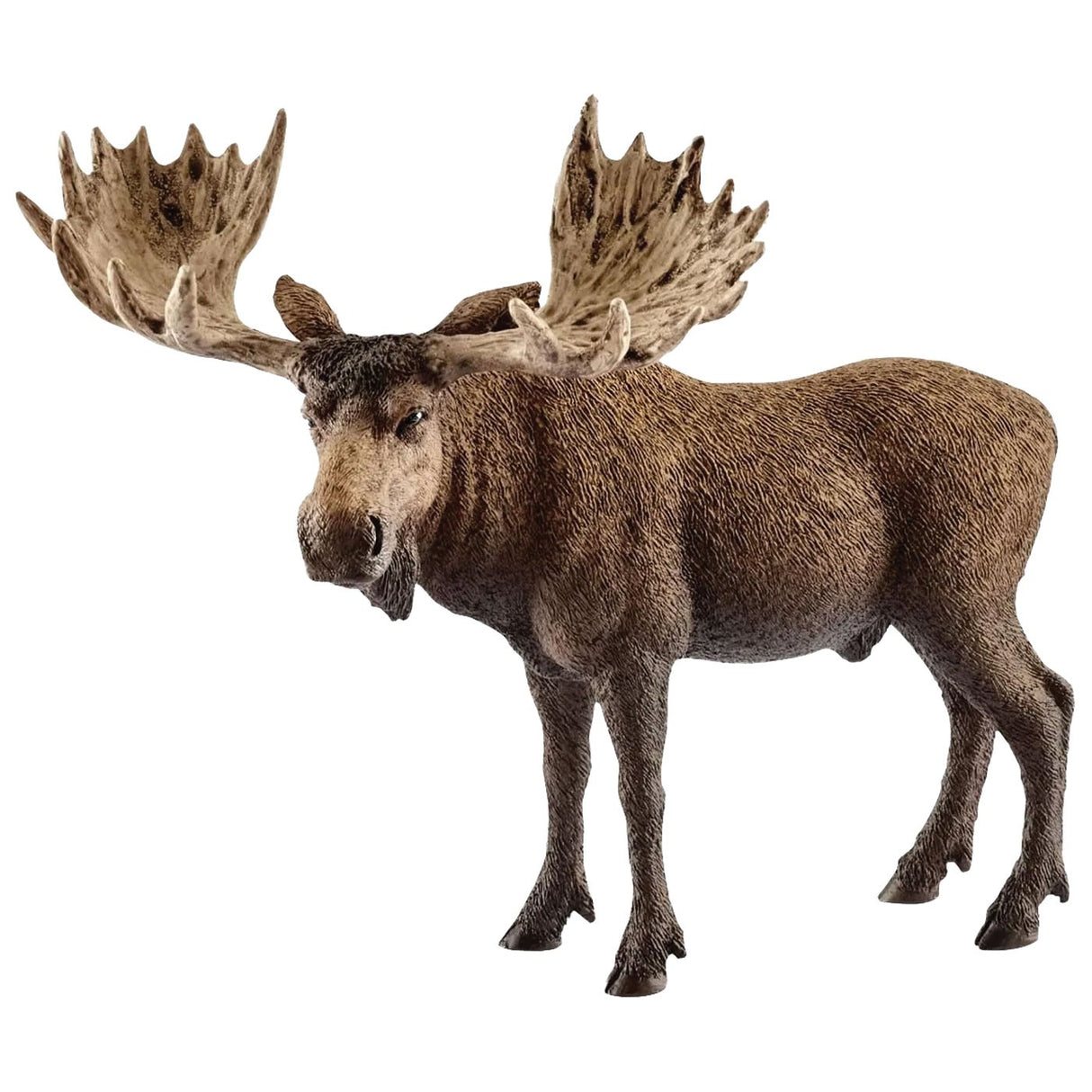 Schleich Wild Life Orignal Taureau