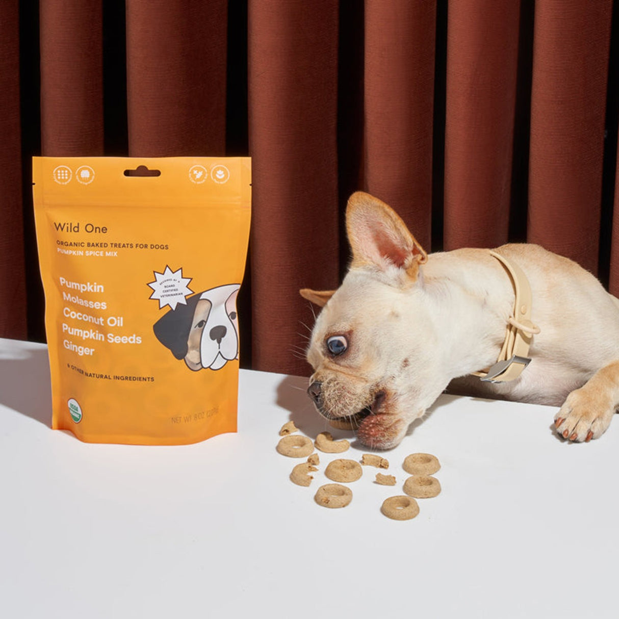 Friandise pour chien aux épices et à la citrouille Wild One, 8 oz