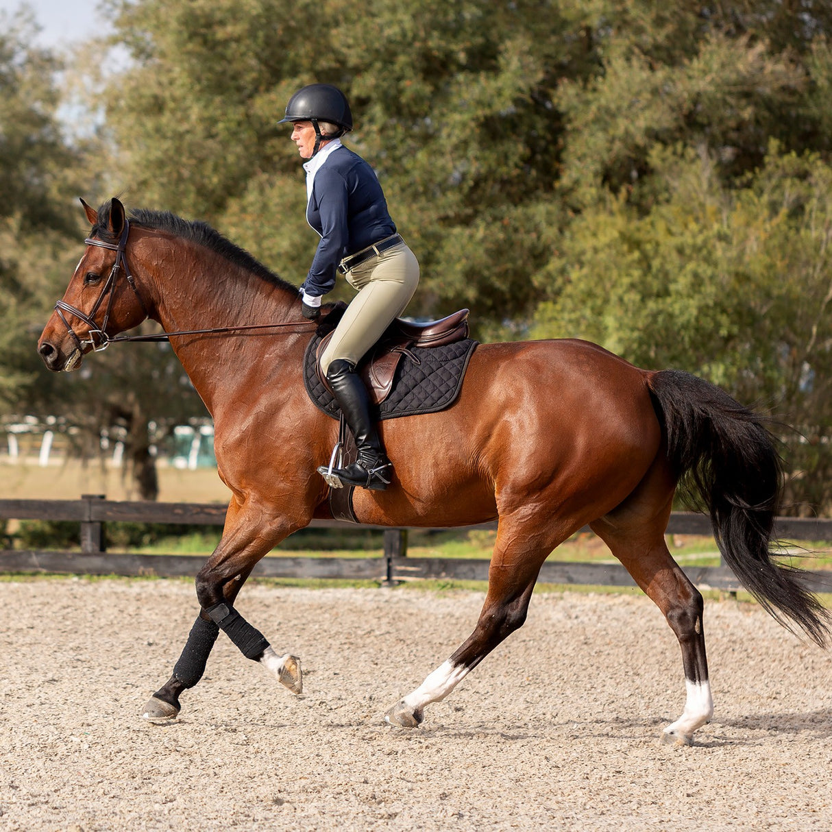 Culasse d'exposition Equinavia Maud
